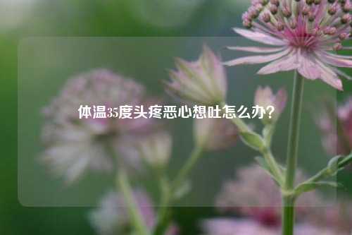 体温35度头疼恶心想吐怎么办？