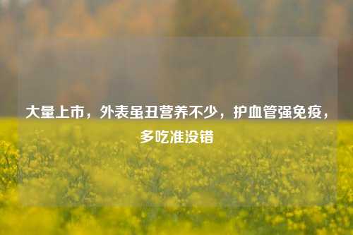 大量上市，外表虽丑营养不少，护血管强免疫，多吃准没错