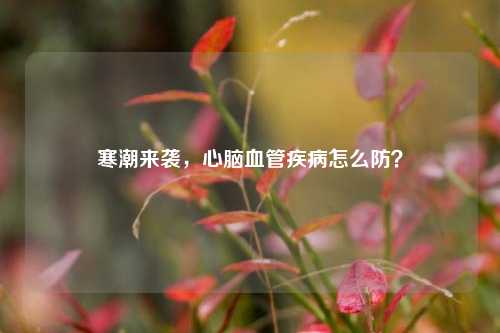 寒潮来袭，心脑血管疾病怎么防？